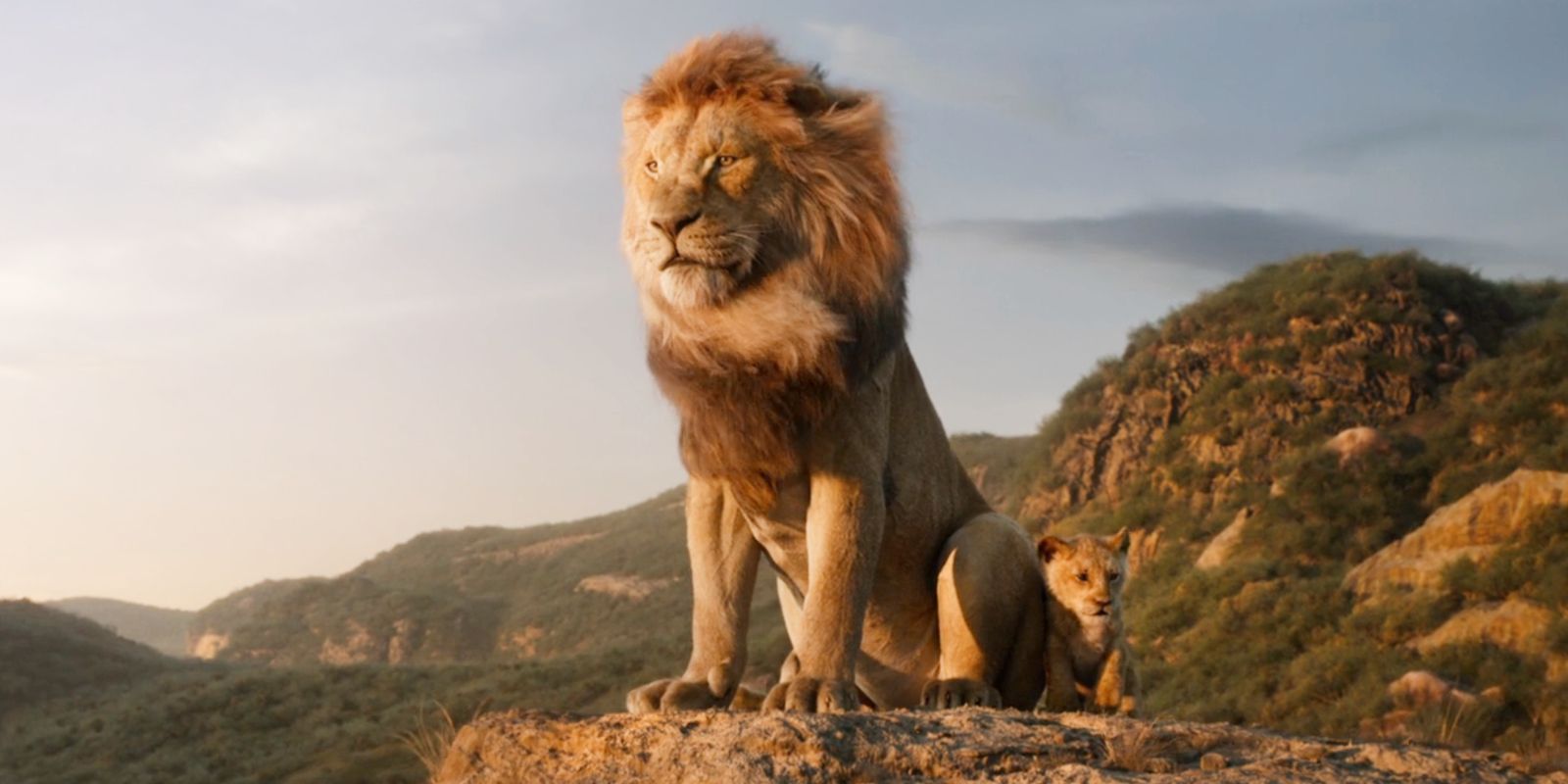How The Lion King Prequel Will Change Mufasa Teased By Disney Movie Star