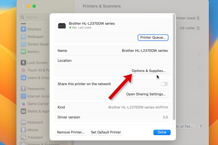 Yazıcının Seçenekler düğmesini gösteren macOS Ayarlarının ekran görüntüsü.