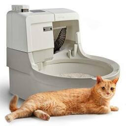 CatGenie AI Self-cleaning, fully flushed, self-bailing, small automatic cat box