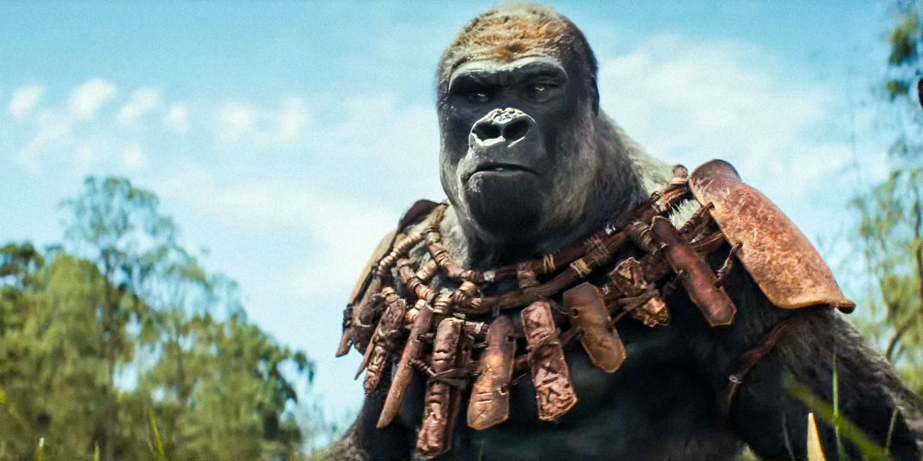 Kingdom of The Planet of The Apes Neden Önceki Apes Filmlerinden 300 Yıl Sonra Geçiyor?