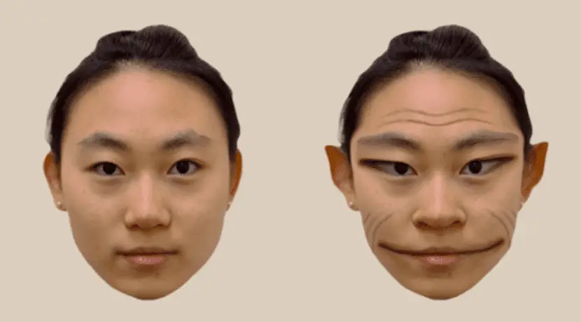 Perception disorder turns other people’s faces into grimaces
