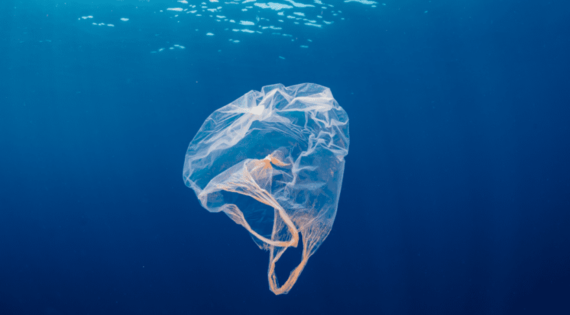 There are up to eleven million tonnes of plastic waste at the bottom of the oceans