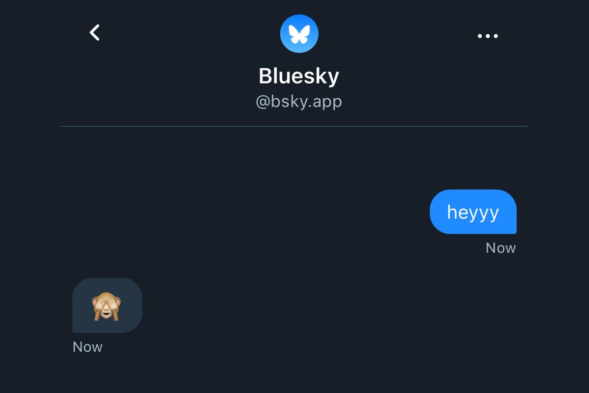 Bluesky finally has DMs, with encrypted messaging coming “down the line”
