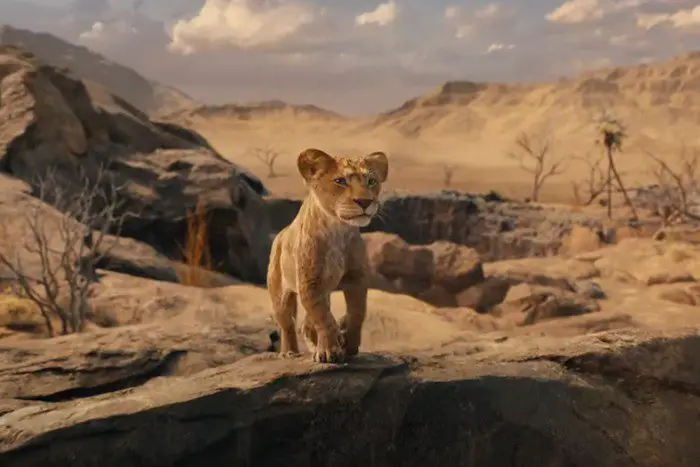 Mufasa: Lion King release date