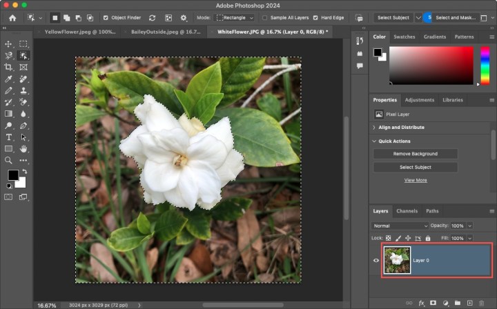 Photoshop'ta katman kilidi açıldı.