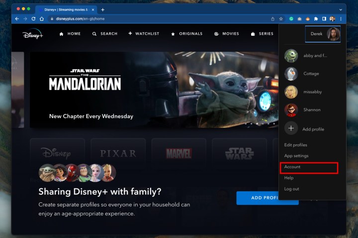 Disney Plus hesap ayarları.