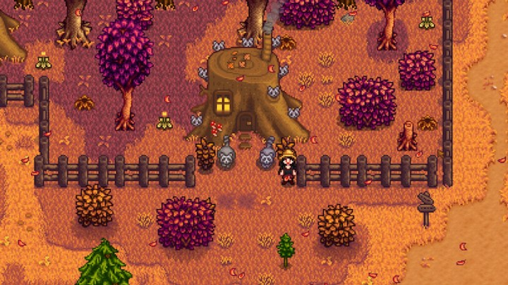 Stardew Vadisi'ndeki Giant Stump'taki rakun ailesi.